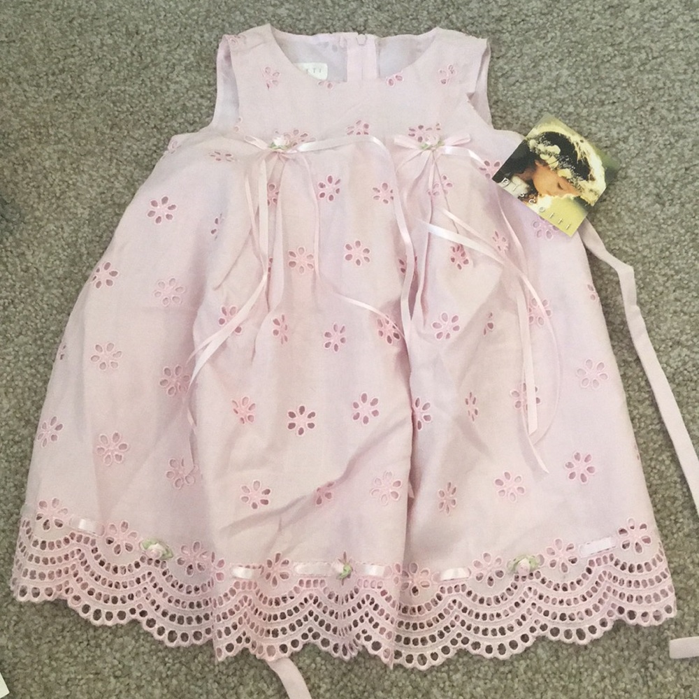 Pink Biscotti dress Sz 2T NWT